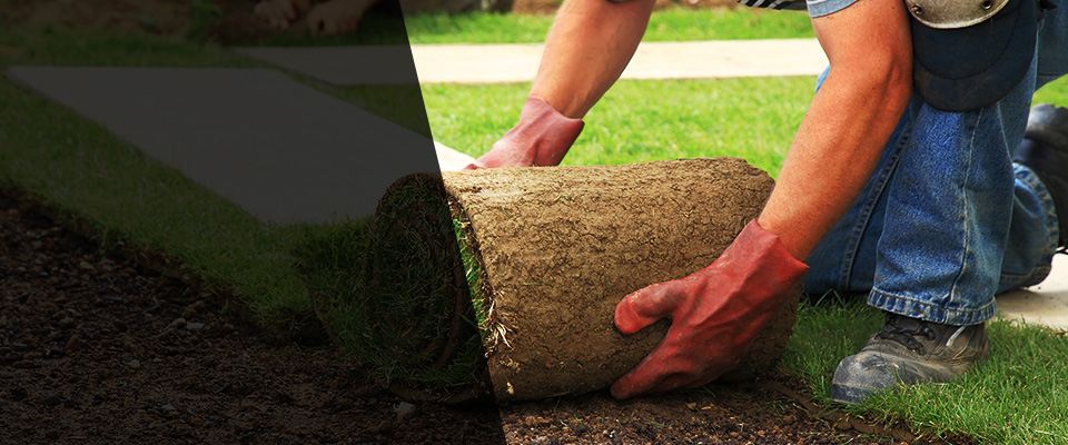 Mescalero Landscapers